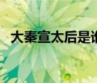 大秦宣太后是誰的皮膚（大秦宣太后是誰）