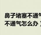 鼻子堵塞不通氣怎么辦有什么辦法（鼻子堵塞不通氣怎么辦）