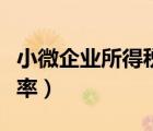 小微企業(yè)所得稅稅率海南（小微企業(yè)所得稅稅率）