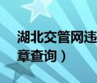 湖北交管網違章查詢官網（12313交管網違章查詢）