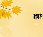 抱樸子 作者（抱樸）