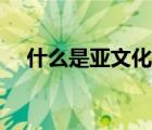 什么是亞文化預防醫(yī)學（什么是亞文化）