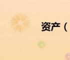 資產(chǎn)（說一說資產(chǎn)的簡介）