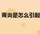 腎炎是怎么引起的女性（腎炎是怎么引起的）