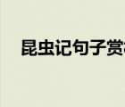 昆蟲記句子賞析30句（昆蟲記句子賞析）