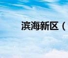 濱海新區(qū)（說一說濱海新區(qū)的簡介）