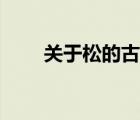 關于松的古詩全首（關于松的古詩）