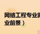 網(wǎng)絡工程專業(yè)就業(yè)前景如何（網(wǎng)絡工程專業(yè)就業(yè)前景）
