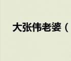 大張偉老婆（說(shuō)一說(shuō)大張偉老婆的簡(jiǎn)介）