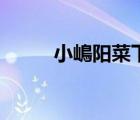 小嶋陽菜下海番（小嶋陽菜下海）