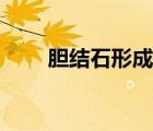 膽結(jié)石形成的原因（膽結(jié)石的原因）