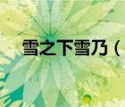雪之下雪乃（說一說雪之下雪乃的簡介）