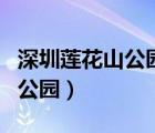 深圳蓮花山公園現(xiàn)在有沒有開放（深圳蓮花山公園）