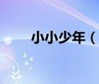 小小少年（說一說小小少年的簡介）