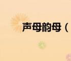 聲母韻母（說(shuō)一說(shuō)聲母韻母的簡(jiǎn)介）