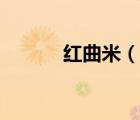 紅曲米（說一說紅曲米的簡介）