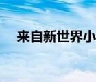 來自新世界小說原著（來自新世界小說）