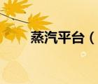 蒸汽平臺（說一說蒸汽平臺的簡介）