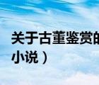關(guān)于古董鑒賞的小說有哪些（關(guān)于古董鑒賞的小說）