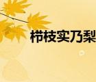 櫛枝實(shí)乃梨的罪惡感（櫛枝實(shí)乃梨）