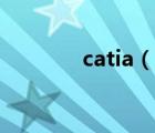 catia（說一說catia的簡介）