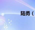 陸勇（說一說陸勇的簡(jiǎn)介）