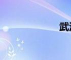武漢都市女子醫(yī)院