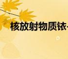 核放射物質(zhì)銥-192（核放射物質(zhì)銥 192）