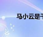 馬小云是干什么的（馬小云人狗）