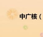 中廣核（說一說中廣核的簡(jiǎn)介）