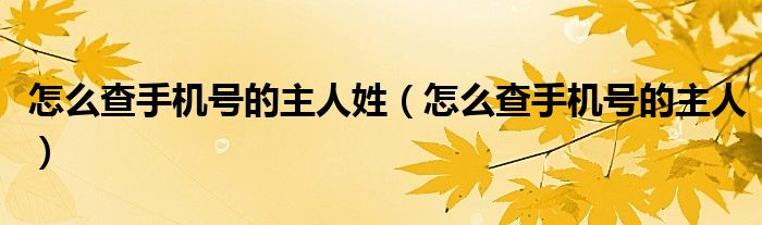 怎么查手機號的主人姓（怎么查手機號的主人）