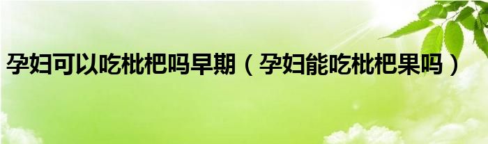 孕婦可以吃枇杷嗎早期（孕婦能吃枇杷果嗎）