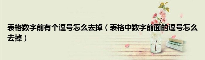 表格數(shù)字前有個(gè)逗號(hào)怎么去掉（表格中數(shù)字前面的逗號(hào)怎么去掉）