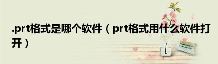 .prt格式是哪個(gè)軟件（prt格式用什么軟件打開(kāi)）