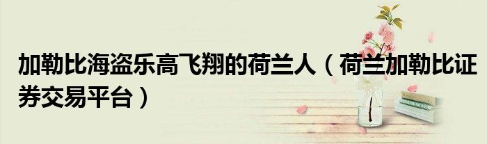 加勒比海盜樂(lè)高飛翔的荷蘭人（荷蘭加勒比證券交易平臺(tái)）