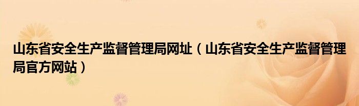 山東省安全生產(chǎn)監(jiān)督管理局網(wǎng)址（山東省安全生產(chǎn)監(jiān)督管理局官方網(wǎng)站）
