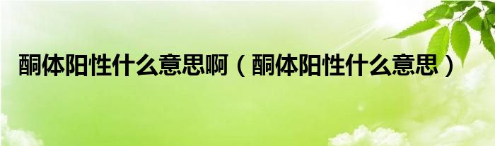 酮體陽性什么意思啊（酮體陽性什么意思）