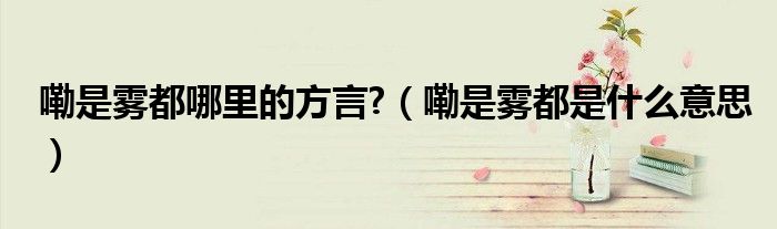 嘞是霧都哪里的方言?（嘞是霧都是什么意思）