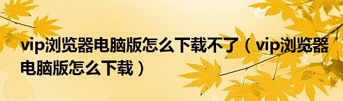 vip瀏覽器電腦版怎么下載不了（vip瀏覽器電腦版怎么下載）