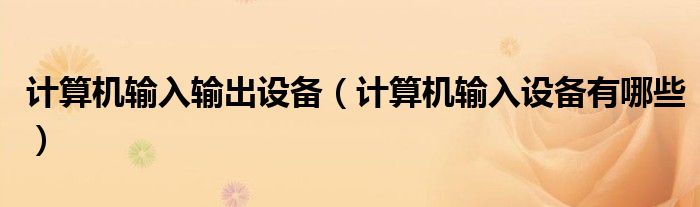 計算機輸入輸出設備（計算機輸入設備有哪些）