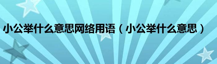 小公舉什么意思網(wǎng)絡(luò)用語（小公舉什么意思）