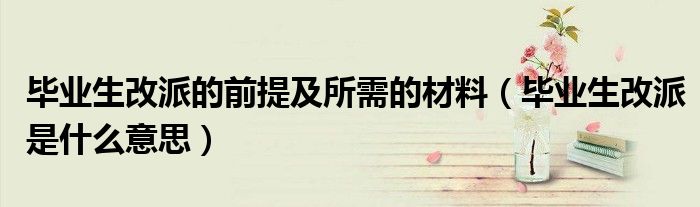畢業(yè)生改派的前提及所需的材料（畢業(yè)生改派是什么意思）