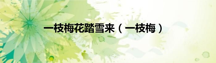 一枝梅花踏雪來（一枝梅）