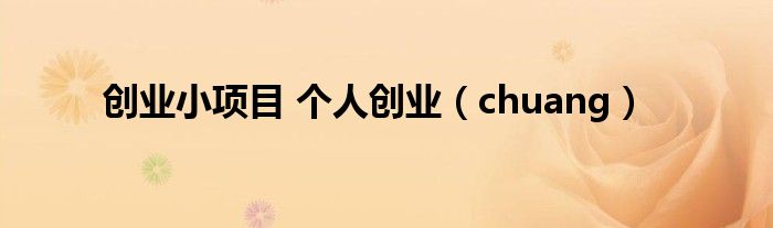 創(chuàng)業(yè)小項(xiàng)目 個(gè)人創(chuàng)業(yè)（chuang）