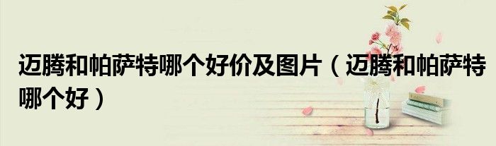 邁騰和帕薩特哪個(gè)好價(jià)及圖片（邁騰和帕薩特哪個(gè)好）