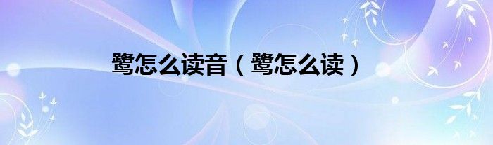 鷺怎么讀音（鷺怎么讀）