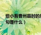 些小吾曹州縣時(shí)的后一句是什么?（些小吾曹州縣吏的下一句是什么）