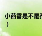 小茴香是不是孜然（小茴香與孜然有什么區(qū)別）