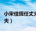 小宋佳現(xiàn)任丈夫個(gè)人簡(jiǎn)歷（小宋佳個(gè)人資料前夫）