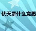 伏天是什么意思網(wǎng)絡(luò)用語（伏天是什么意思）